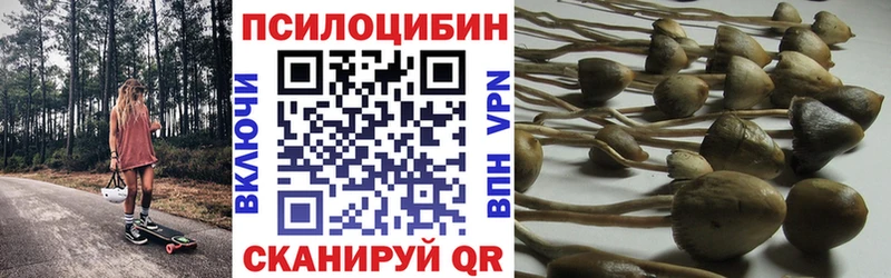 Галлюциногенные грибы Magic Shrooms  Лениногорск 