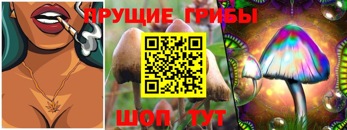 Псилоцибиновые грибы GOLDEN TEACHER Лениногорск