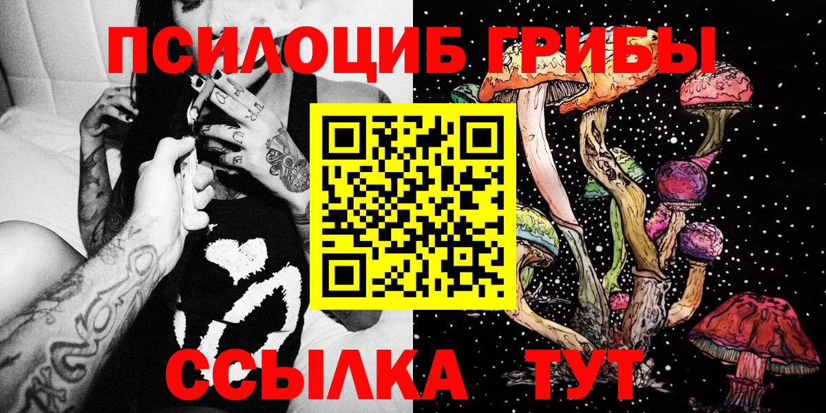 Лениногорск  купить   Вход с VPN  Псилоцибиновые грибы MAGIC MUSHROOMS 